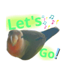 コザクラインコのくりんちゃん（個別スタンプ：31）