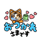 むぎくんの日常❶（個別スタンプ：3）