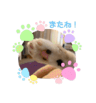むぎくんの日常❶（個別スタンプ：8）