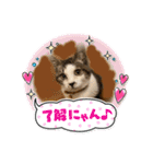 むぎくんの日常❶（個別スタンプ：9）