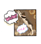 むぎくんの日常❶（個別スタンプ：19）