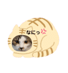 むぎくんの日常❶（個別スタンプ：23）