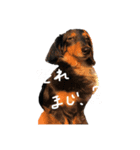 ガイドライン引っかかったので修正したよ。（個別スタンプ：1）