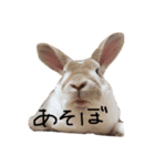 ガイドライン引っかかったので修正したよ。（個別スタンプ：5）