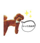 アンディスタンプ①（個別スタンプ：12）
