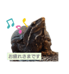 ミシシッピニオイガメのガメちゃん（個別スタンプ：10）