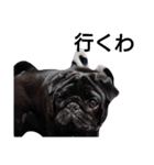 PUG BILLY（個別スタンプ：4）