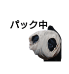 PUG BILLY（個別スタンプ：38）