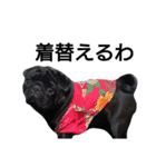 PUG BILLY（個別スタンプ：40）