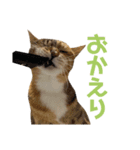 たびしスタンプ②（個別スタンプ：4）