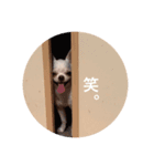 まるスタンプ//（個別スタンプ：16）