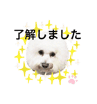 もこすた。（個別スタンプ：3）