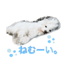もこすた。（個別スタンプ：7）