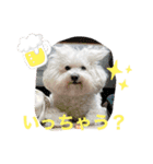 もこすた。（個別スタンプ：12）