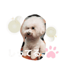 もこすた。（個別スタンプ：13）