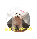 もこすた。（個別スタンプ：14）