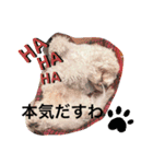 もこすた。（個別スタンプ：20）