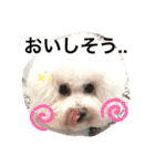もこすた。（個別スタンプ：21）