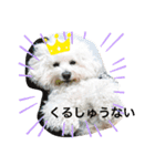 もこすた。（個別スタンプ：22）