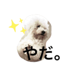 もこすた。（個別スタンプ：24）