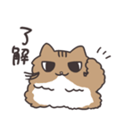 我が家猫スタンプ（個別スタンプ：2）