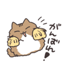 我が家猫スタンプ（個別スタンプ：6）