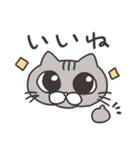 我が家猫スタンプ（個別スタンプ：8）