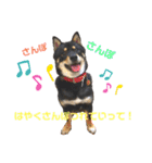 黒柴犬のクロたん③（個別スタンプ：16）