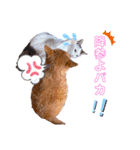 ピー助とゆかいななかまたち その②（個別スタンプ：2）