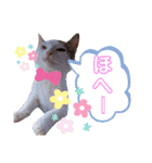 ピー助とゆかいななかまたち その②（個別スタンプ：6）