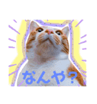 ピー助とゆかいななかまたち その②（個別スタンプ：7）