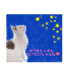 ピー助とゆかいななかまたち その②（個別スタンプ：9）