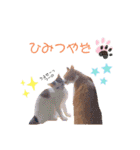 ピー助とゆかいななかまたち その②（個別スタンプ：14）