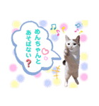 ピー助とゆかいななかまたち その②（個別スタンプ：15）