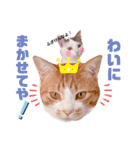 ピー助とゆかいななかまたち その②（個別スタンプ：19）