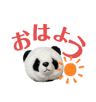 【立体パンダ】中学生がよく使うスタンプ（個別スタンプ：1）
