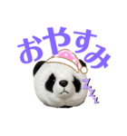 【立体パンダ】中学生がよく使うスタンプ（個別スタンプ：2）