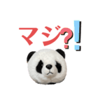 【立体パンダ】中学生がよく使うスタンプ（個別スタンプ：5）