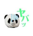【立体パンダ】中学生がよく使うスタンプ（個別スタンプ：6）