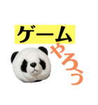 【立体パンダ】中学生がよく使うスタンプ（個別スタンプ：7）
