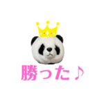 【立体パンダ】中学生がよく使うスタンプ（個別スタンプ：9）