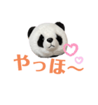 【立体パンダ】中学生がよく使うスタンプ（個別スタンプ：14）