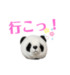 【立体パンダ】中学生がよく使うスタンプ（個別スタンプ：15）