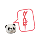 【立体パンダ】中学生がよく使うスタンプ（個別スタンプ：16）