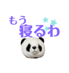 【立体パンダ】中学生がよく使うスタンプ（個別スタンプ：17）