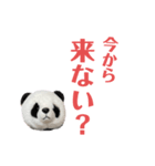 【立体パンダ】中学生がよく使うスタンプ（個別スタンプ：18）