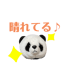 【立体パンダ】中学生がよく使うスタンプ（個別スタンプ：29）