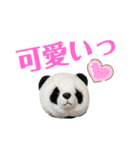 【立体パンダ】中学生がよく使うスタンプ（個別スタンプ：34）