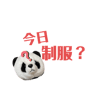 【立体パンダ】中学生がよく使うスタンプ（個別スタンプ：36）