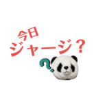 【立体パンダ】中学生がよく使うスタンプ（個別スタンプ：37）